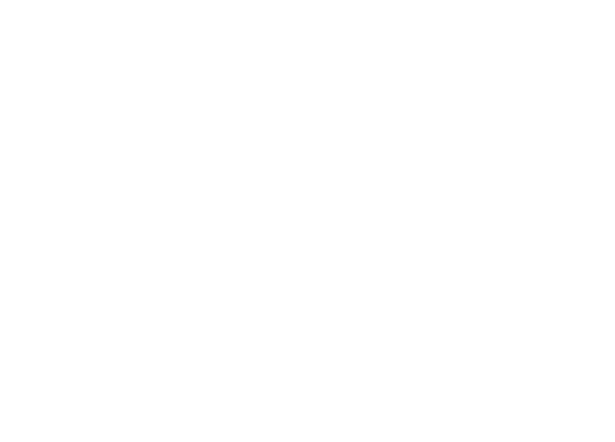 Sterk Lokaal Almere Logo